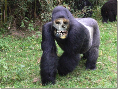 Zombie Gorilla 2