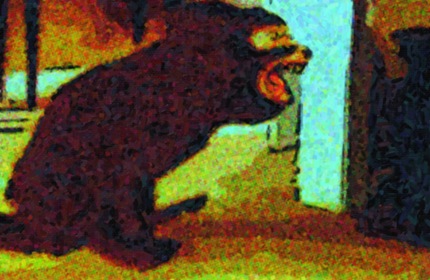 Vincent Vangrove Ass Dragger EMToast Vincent Vangrove Ass Dragger EMToast