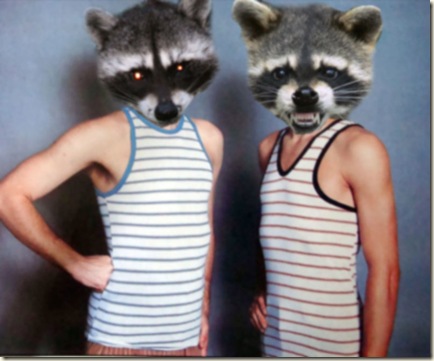 Raccoon-Face-Freaks