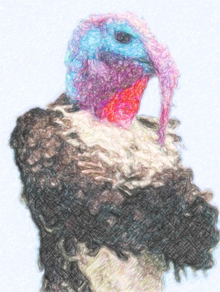 WereTurkey Sketch WereTurkey Sketch