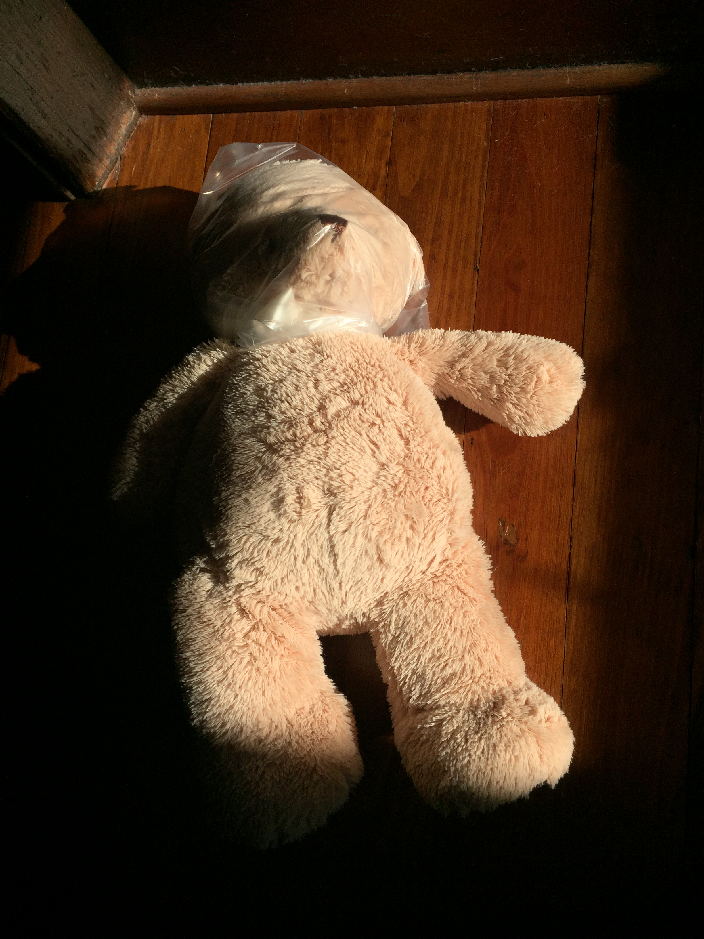 Dead Teddy Bear